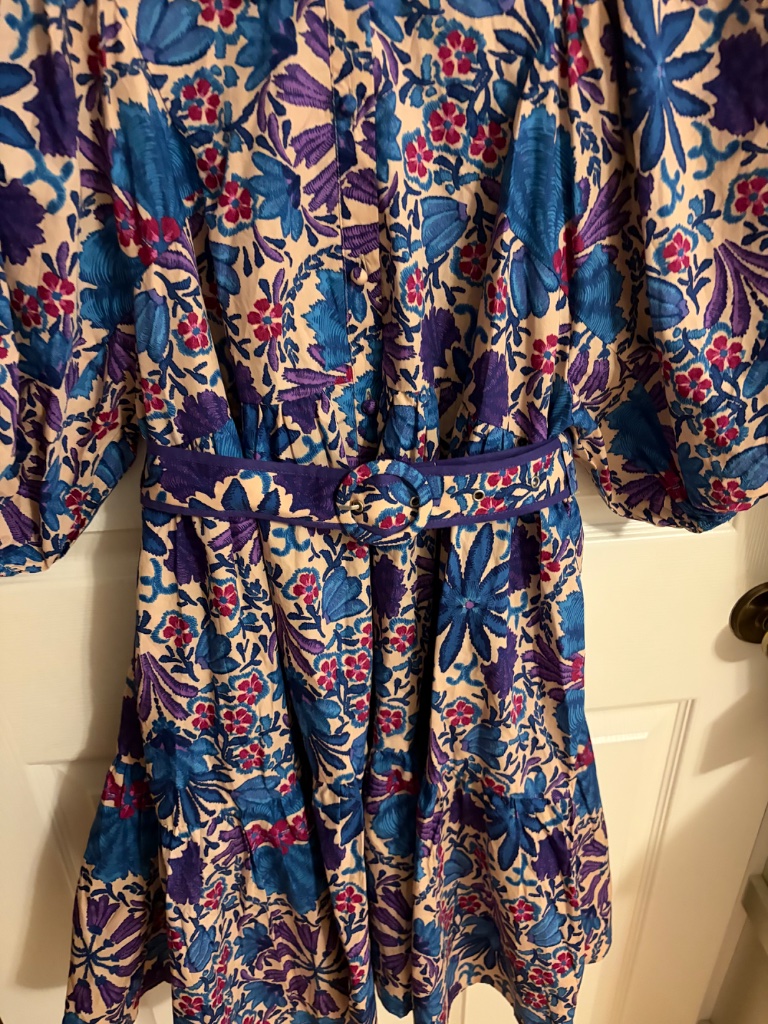 Pants Store Belted Dress, Size M, Nwt! — image 4 of 7